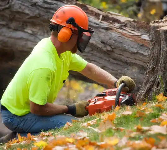 tree services Milford Center